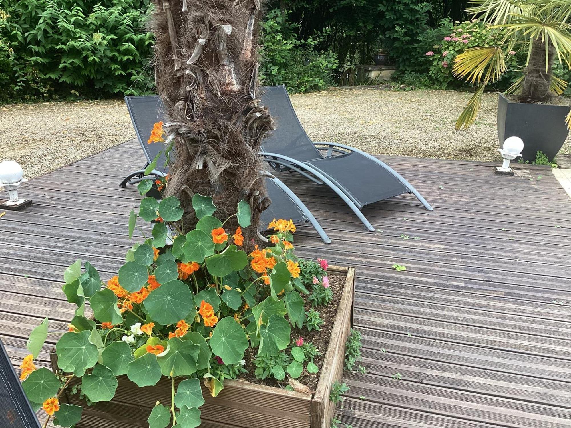 Le Lavoir Bed and Breakfast Châteauroux Exterior foto